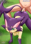  bbmbbf nintendo palcomix pokemon pokepornlive purrloin 