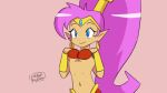 shantae (character) from shantae