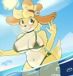 1girl animal_crossing anthro areola azlech beach bikini blush breasts cameltoe canid canine canis clothing cloud dipstick_tail domestic_dog furry isabelle_(animal_crossing) mammal multicolored_tail navel nintendo seaside shih_tzu slightly_chubby smile sun swimsuit v video_games w water