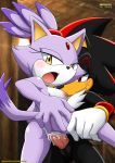 blaze the cat from mobius unleashed by bbmbbf