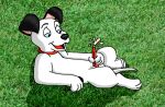 101_dalmatians disney lucky photo_background tagme