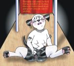  101_dalmatians disney dog furry masturbation multiple_breasts pussy two-tone twotone 