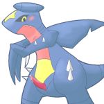 garchomp pokemon tagme