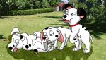 101_dalmatians cadpig disney lucky photo_background rolly