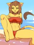 1girl 1girl alien anthro beach bikini breasts brown_hair caitian clothing damn_lasso_tool erect_nipples felid feline fur furry genitals hair high_res long_hair long_tail looking_at_viewer m'ress mammal nipples outside pussy sand seaside sky spread_legs spreading star_trek star_trek_the_animated_series swimwear translucent translucent_clothing under_boob yellow_eyes