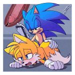 2boys anal canine fox hedgehog mammal miles_"tails"_prower miles_"tails"_prower penetration penis sex sonic_the_hedgehog sonic_the_hedgehog_(series) tails tails_the_fox yaoi