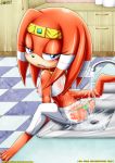 bbmbbf blush full_body mobius_unleashed palcomix panties see-through_clothes sega sink sonic_(series) sonic_the_hedgehog_(series) tikal_the_echidna wet_clothes