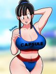 chichi from dragon ball by bedaxe