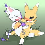 1girl adult clitoris digimon gatomon pussy renamon tailmon yuri