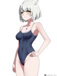  1girl 1girl alluring alternate_costume animal_ear_fluff animal_ears cat_ears cat_girl chest_jewel closed_mouth commentary_request completion_time covered_navel cowboy_shot grey_hair hand_on_own_hip high_res looking_at_viewer medium_breasts mio_(xenoblade) riro_(breakthrough_rr) school_swimsuit short_hair simple_background swimsuit white_background xenoblade_(series) xenoblade_chronicles_3 yellow_eyes 
