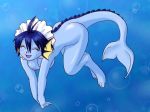 blue_fur creatures_(company) eeveelution furry game_freak gen_1_pokemon nintendo pokemon pokemon_(anime) pokemon_(creature) pokemon_(game) pokemon_(species) pokemorph purple_bonus showers_(pokemon) tail underwater vaporeon water_type_pokemon