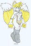 1boy amazon_prime cosplay crossover crossover_cosplay fox image_comics invincible male male/solo male_solo marlon64 miles_"tails"_prower sega solo sonic_the_hedgehog_(series) tails_the_fox viltrumite viltrumite_(cosplay) wide_hips