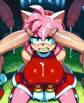 amy rose from sonic the hedgehog (series)