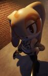  1girl 3d_(artwork) alley brown_eyes clothes cream_the_rabbit cub dutch_angle female_focus furfnsfw furry furry_female highres one_eye_closed revealing_clothes sega slut_outfit small_breasts sonic sonic_(series) sonic_the_hedgehog_(series) 