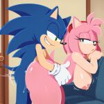 amy rose from sonic the hedgehog (series)
