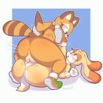 cream the rabbit from sega by pewski