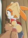 cream the rabbit from sonic the hedgehog (series)