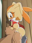 cream the rabbit from sonic the hedgehog (series)