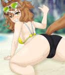 1girl alternate_version_available back_view beach brown_hair brown_tail eyewear green-tinted_eyewear jungle_pocket_(umamusume) light-skinned_female light_skin pulling_clothing q08 tail umamusume umamusume_pretty_derby yellow_clothing