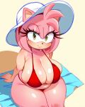 amy rose from sonic the hedgehog (series)