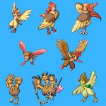  bird dodrio doduo farfetch&#039;d fearow nintendo pidgeot pidgeotto pidgey pokemon spearow 