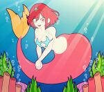 pyra from nintendo by tonyneely