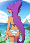 1girl 1girl 1girl ass female_only shantae shantae_(character) swimsuit