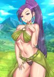 1girl big_breasts breasts dragon_quest dragon_quest_xi female_only martina_(dq11)