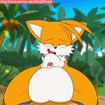 gif kingofacesx miles_"tails"_prower sonic sonic_the_hedgehog tagme yaoi