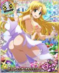 asia_argento high_school_dxd tagme