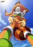 1girl anthro bbmbbf big_ears blue_eyes boots breasts furry looking_down marine_the_raccoon mobius_unleashed open_eyes orange_fur palcomix sega semi_nude showing_pussy small_breasts sonic_(series) sonic_the_hedgehog_(series)