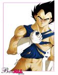  dragon_ball_z renasama tagme vegeta 