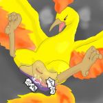  bird ditto moltres nintendo pokemon 