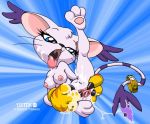 digimon gaping_pussy gatomon pussy tagme tailmon tdk