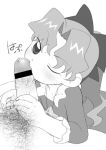 princess meteor from princess comet
