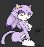 blaze the cat from sega by sonicdash