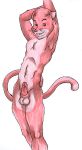 pink_panther tagme