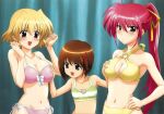 3girls cleavage hayate_yagami mahou_shoujo_lyrical_nanoha_strikers multiple_girls shamal signum