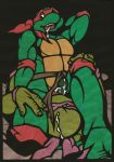 donatello raphael t_m_n_t teenage_mutant_hero_turtles teenage_mutant_ninja_turtles