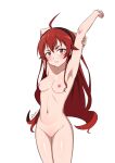  1girl 1girl armpits arms_up blush breasts eris_boreas_greyrat frown hair_ornament hair_ribbon high_resolution long_hair looking_at_viewer mushoku_tensei:_isekai_ittara_honki_dasu navel nipples nude pussy red_eyes red_hair ribbon small_breasts small_nipples very_high_resolution white_background zedxxx 