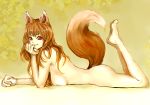 holo from spice and wolf by inuyou
