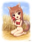 1girl animal_ears apple apples brown_hair chibi fang food fruit holding holding_apple holding_fruit holo horo kagehara_hanzou kagehara_hanzow long_hair nude red_eyes solo spice_and_wolf tail wheat wolf_ears