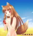 holo from spice and wolf by 6u (eternal land)