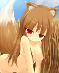 bad_id brown_hair holo horo long_hair minitesu nude red_eyes spice_and_wolf tail wheat wolf_ears