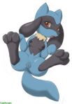 pokemon riolu tagme