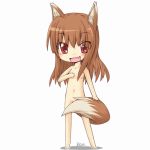 animal_ears blush chibi fang hair holo horo long_hair nude ookami_to_koushinryou ookamimimi spice_and_wolf tail wolf_ears wolfgirl