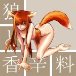 holo from spice and wolf by kataharaitai aesop