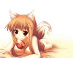 1girl animal_ears apple apples beauty_love brown_hair food fruit holding holding_apple holding_fruit holo horo long_hair lying nipples nude red_eyes spice_and_wolf tail wolf_ears