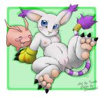  digimon feline gatomon inuki sirdread tokomon 