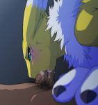 1boy ambiguous_gender anthro anthro_canine anthro_focus anthro_fox blush canine cum cum_in_mouth digimon erection fellatio fox fur furry human human/anthro lying male male/ambiguous male_human male_human/anthro nude oral oral_sex penis pubic_hair renamon solo_focus toei_animation white_fur yellow_fur